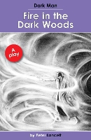 Book Cover for Fire in the Dark Woods by Lancett Peter