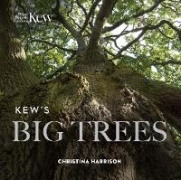 Book Cover for Kew’s Big Trees by Christina Harrison