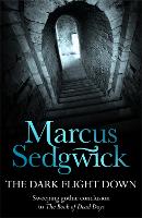 Book Cover for The Dark Flight Down by Marcus Sedgwick