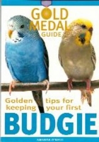 Book Cover for Budgie by Amanda O'Neill