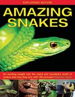 Book Cover for Amazing Snakes by Barbara Taylor