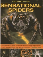 Book Cover for Sensational Spiders by Barbara Taylor