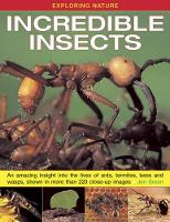 Book Cover for Incredible Insects by Jen Green