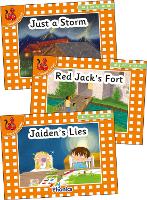 Book Cover for Jolly Phonics Orange Level Readers Set 4 by Louise Van-Pottelsberghe