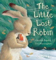 Book Cover for The Little Lost Robin by Elizabeth Baguley