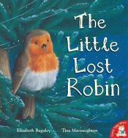 Book Cover for The Little Lost Robin by Elizabeth Baguley