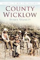 Book Cover for County Wicklow by Derek Stanley