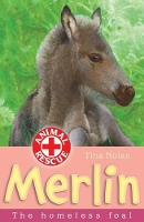 Book Cover for Merlin by Tina Nolan