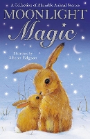 Book Cover for Moonlight Magic by Alison Edgson