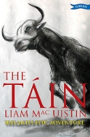 Book Cover for The Táin by Liam Mac Uistin