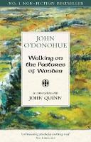 Book Cover for Walking on the Pastures of Wonder In Conversation with John Quinn by John Quinn