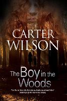 Book Cover for The Boy in the Woods by Carter Wilson