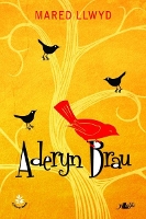 Book Cover for Aderyn Brau by Mared Llwyd