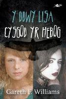 Book Cover for Y Ddwy Lisa. Cysgod Yr Hebog by Gareth F. Williams