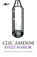 Book Cover for Clec Amdani by Esyllt Maelor