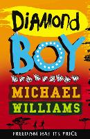 Book Cover for Diamond Boy by Michael Williams