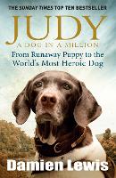 Book Cover for Judy: A Dog in a Million by Damien Lewis