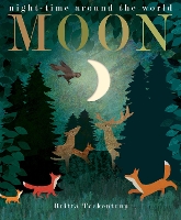 Book Cover for Moon by Patricia Hegarty