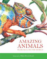 Book Cover for Amazing Animals by Peter Scott