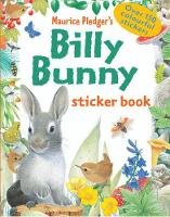 Book Cover for Billy Bunny Sticker Book by Amanda Wood