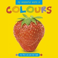 Book Cover for My Wonderful World of Colours by Katie Cotton