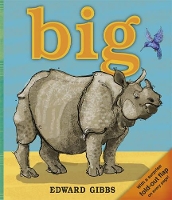 Book Cover for Big by Edward Gibbs