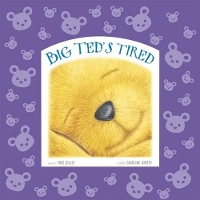 Book Cover for Big Ted's Tired by Mike Jolley