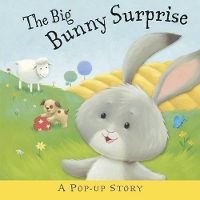 Book Cover for The Big Bunny Surprise by Liza Miller
