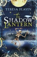 Book Cover for The Shadow Lantern by Teresa Flavin