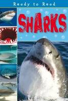 Book Cover for Sharks by Sarah Creese