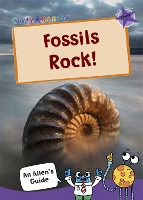 Book Cover for Fossils Rock! by Maverick Arts Publishing