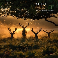 Book Cover for British Wildlife 2021 Calendar by Mixed Mixed