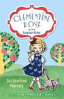 Book Cover for Clementine Rose and the Surprise Visitor by Jacqueline Harvey