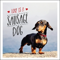 Book Cover for Love is a Sausage Dog by Charlie Ellis