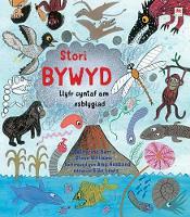 Book Cover for Stori Bywyd by Catherine Barr, Steve Williams