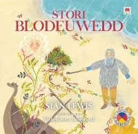 Book Cover for Stori Blodeuwedd by Siân Lewis