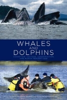 Book Cover for Whales and Dolphins by Philippa Brakes