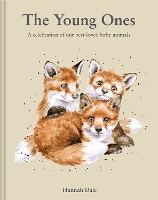 Book Cover for The Young Ones by Hannah Dale