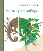 Book Cover for Animal Camouflage by René Mettler