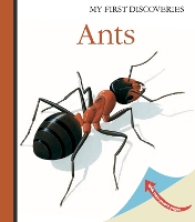 Book Cover for Ants by René Mettler