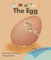 Book Cover for The Egg by René Mettler