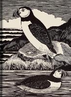 Book Cover for Birds Journal by Eric Fitch Daglish