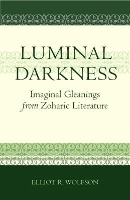 Book Cover for Luminal Darkness by Elliot R. Wolfson