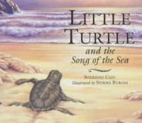 Book Cover for Little Turtle and the Song of the Sea by Sheridan Cain