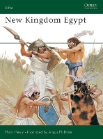 Book Cover for New Kingdom Egypt by Mark military historian, UK Healy