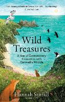 Book Cover for Wild Treasures by Hannah Stitfall