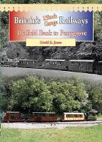 Book Cover for Britain's 15 Inch Gauge Railways by David R. Jones