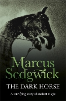 Book Cover for The Dark Horse by Marcus Sedgwick