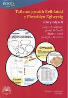 Book Cover for Taflenni Gwaith Beiblaidd Y Flwyddyn Eglwysig by Cyhoeddiadau'r Gair