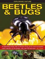 Book Cover for Exploring Nature: Beetles & Bugs by Jen Green